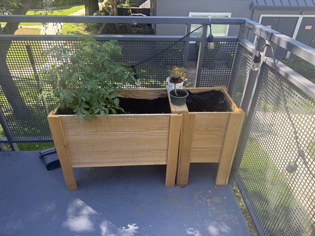 Woodworking build